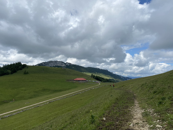 Ресторан Гранж-Нев