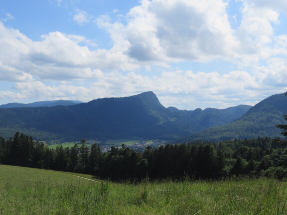 Вершина Дан-де-Вольон