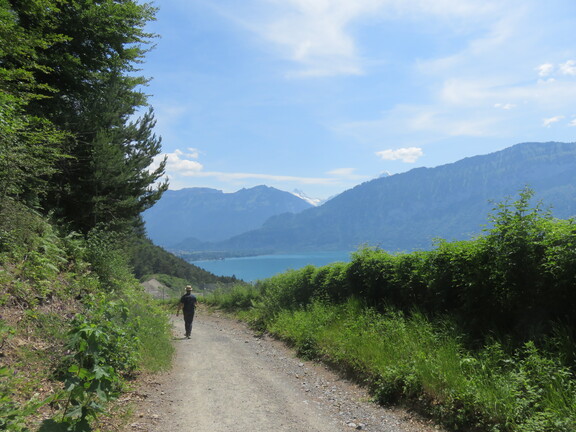 В окрестностях Беатенберга