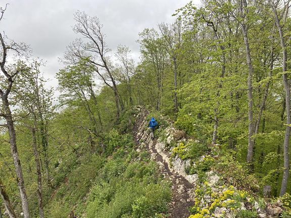 По хребту Легерн