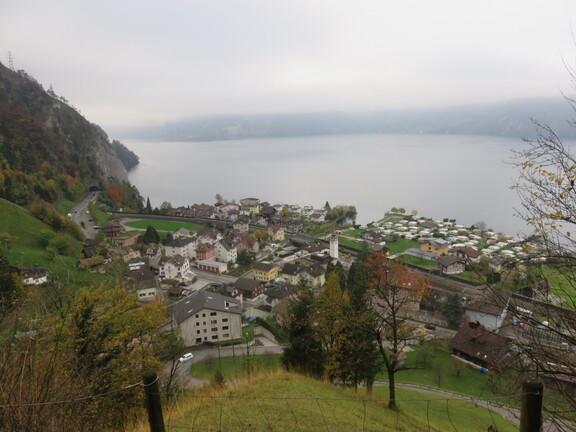 Вид на Зизикон