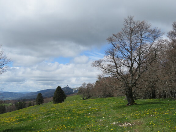 Вдали - вершина Шассераля
