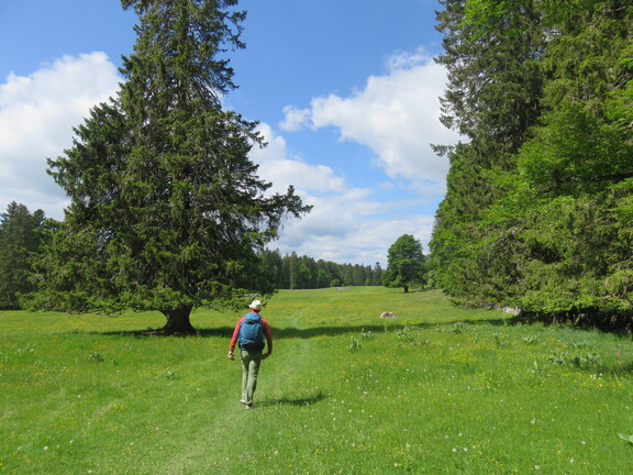 Подъем от Ла-Крюшод