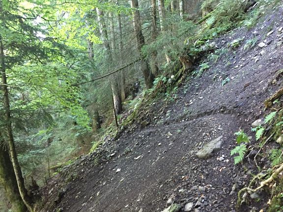 Траверс в лесу Россиньера