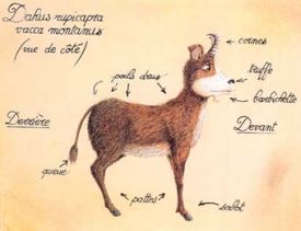 Даю в профиль