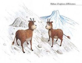 Правосторонний и левосторонний даю