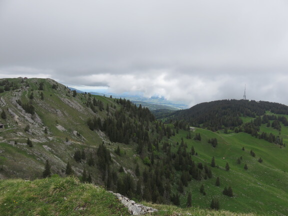 Барилетт