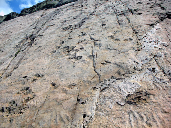 Отпечатки доисторических чудовищ