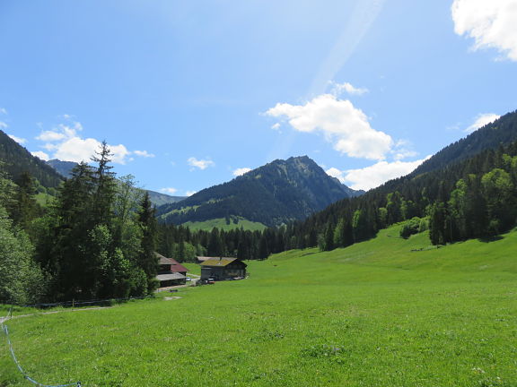 Долина Этива - вдоль ручья Торнересс