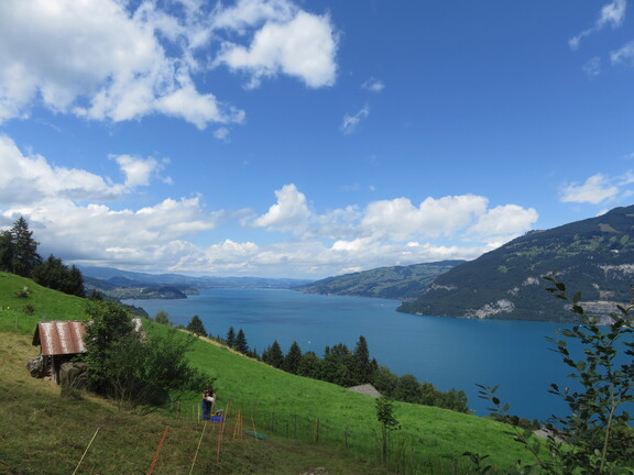 На высоте Мейелисальпа