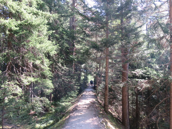 Хребет Салейна