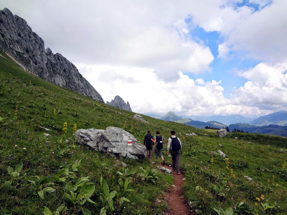 Массив Гастлозен со стороны альпийских лугов Obere Birg