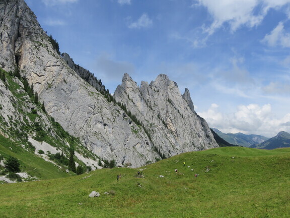 Луга Обере Бирг, Берн