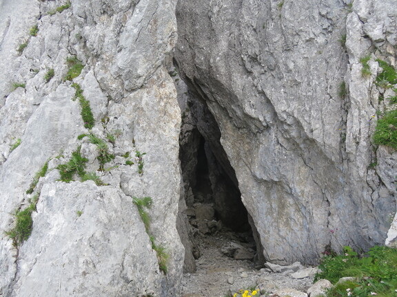 Волчий перевал