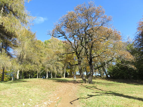 Подъем на вершину Монте Сан Джиорджио