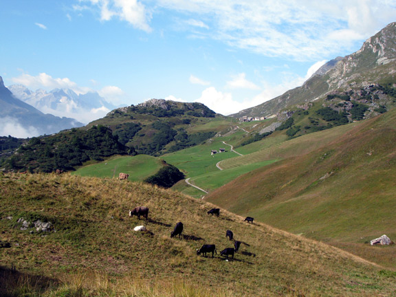 Долина Верхней Энгандины