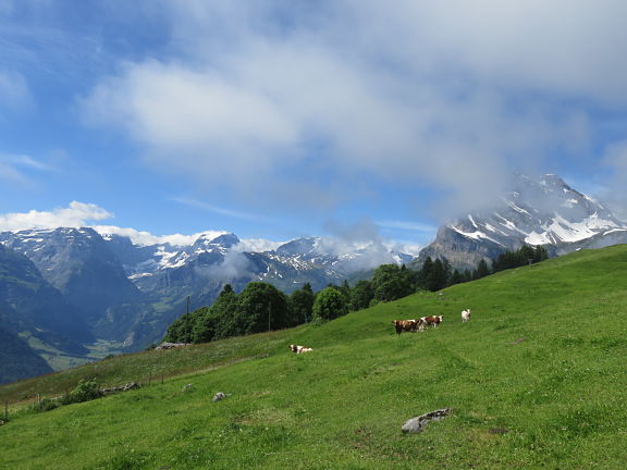 Панорама гларусских гор
