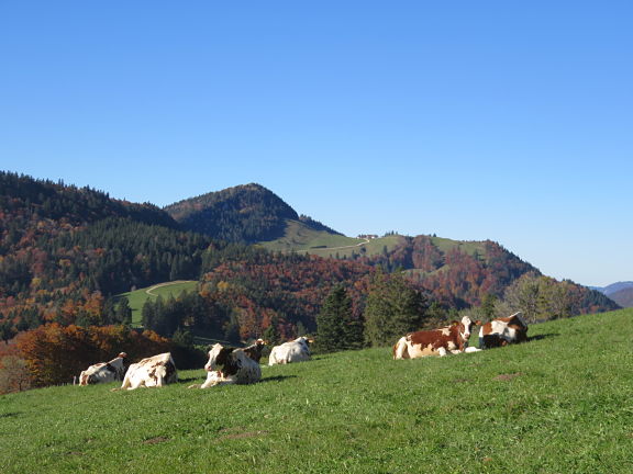 Подъем на Хазенматт
