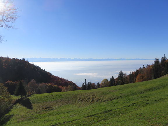 Альпийская панорама с вершины горы Вайссенштайн