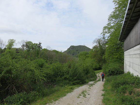 Вершина Вассерфлу