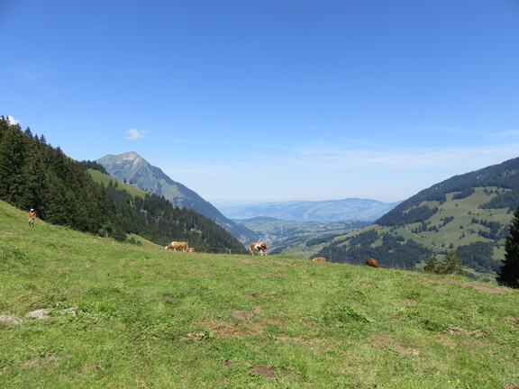 Вид на Тунское озеро и Нидерхорн