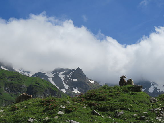 Перевал Клаузенпасс