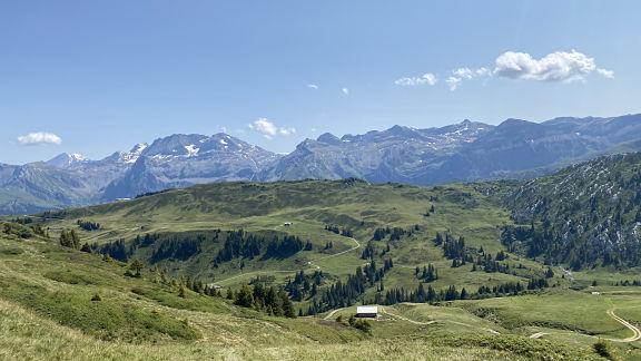 Via Alpina Ленк - Гштаад