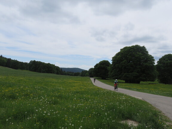 На лугах Ружемон