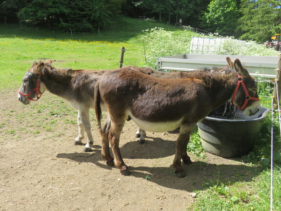 Кафе les Oeuillons