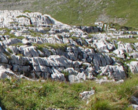 Карстовые поля