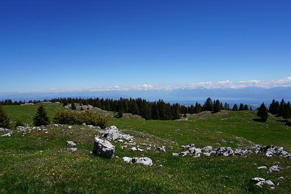 Массив Монблан