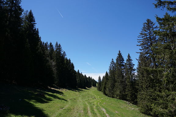 Горное плато