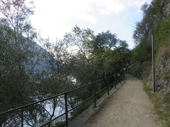 Оливковая тропа