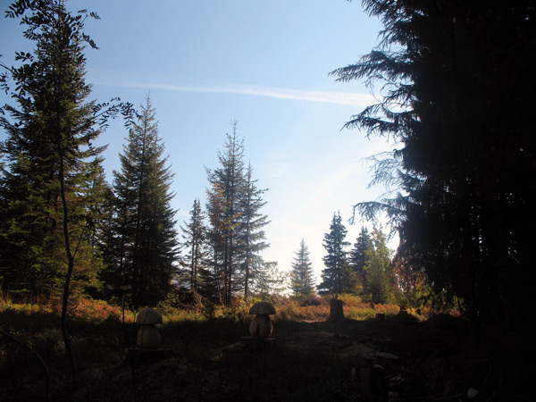 Природный резерв