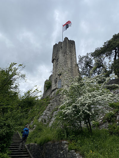 Развалины замка Штейн в Бругге, Арговия