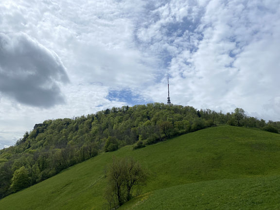 Вассерфлу - Арговия