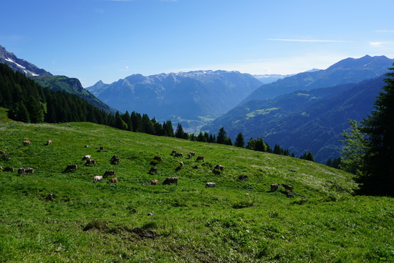 Долина Бешбахи