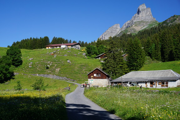 Braunwaldalp Unterstafel Alpkäserei
