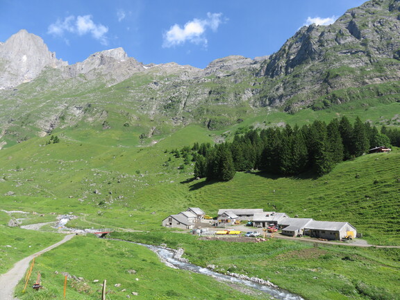 Ферма Бехи Миттельштафель