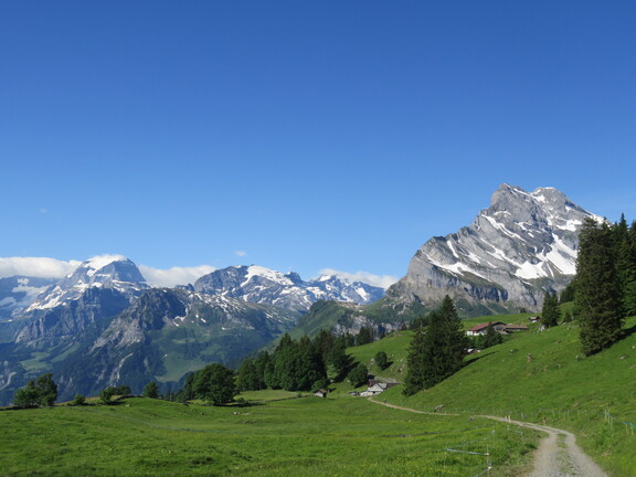 Гларусские горы: Ортшток