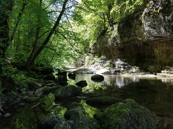 Ущелье реки Орбы