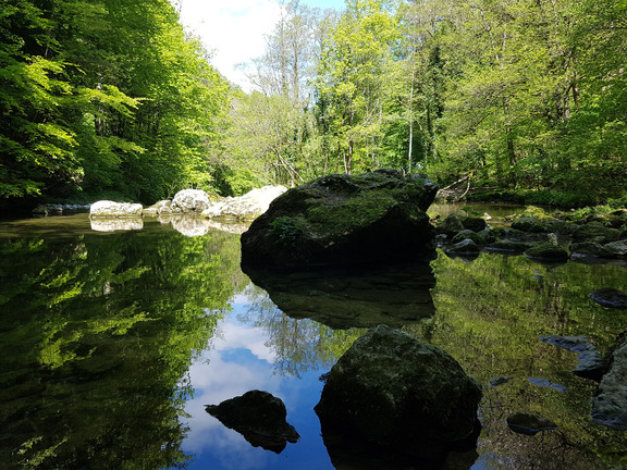 Ущелье реки Орбы