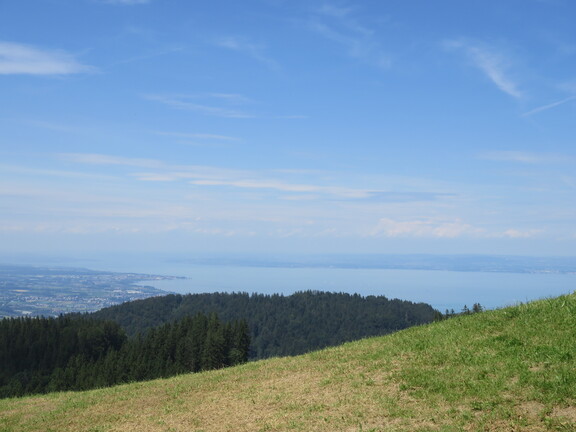 Вид на Боденское озеро