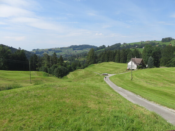 Последний подъем до Трогена