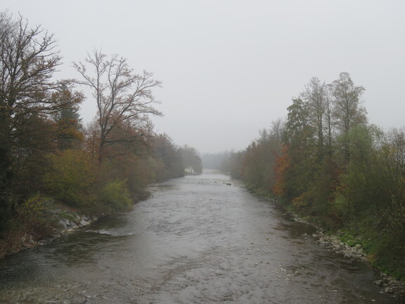 Маленькая Эмме