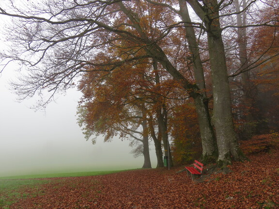 Холм Зонненберг