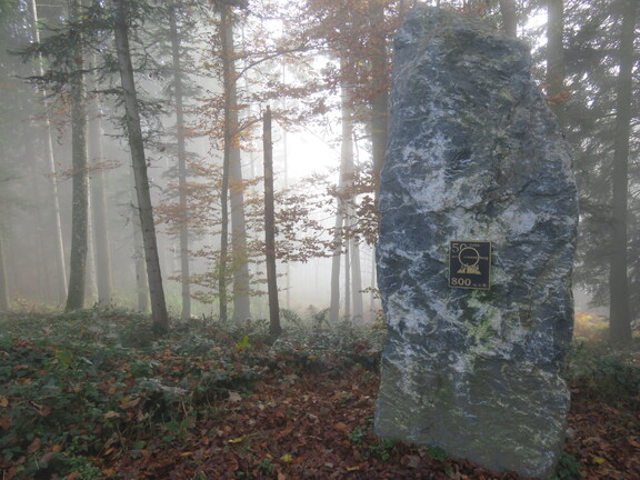 Высшая точка Зонненберга