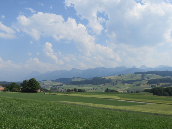 Панорама Гантриша