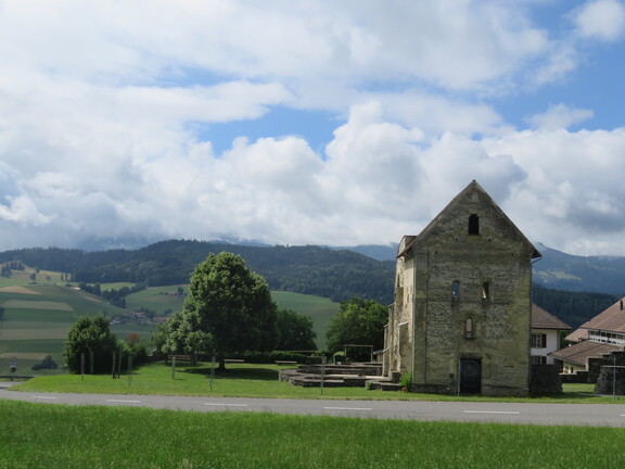 Развалины монастыря в Рюггисберге