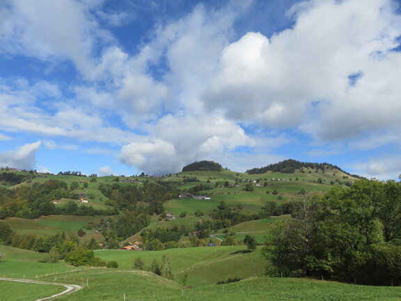 Парк Гантриш